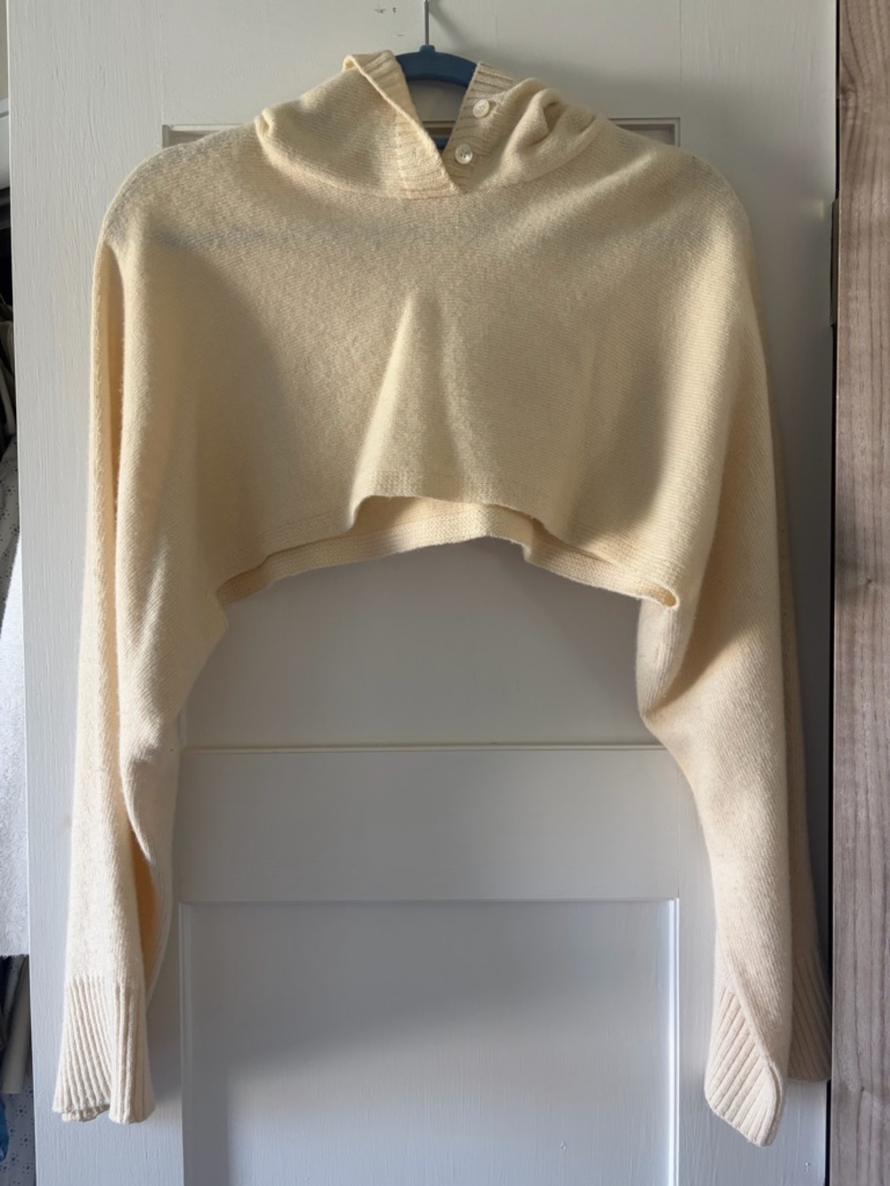 The Frankie Shop Cropped Hooded Sweater